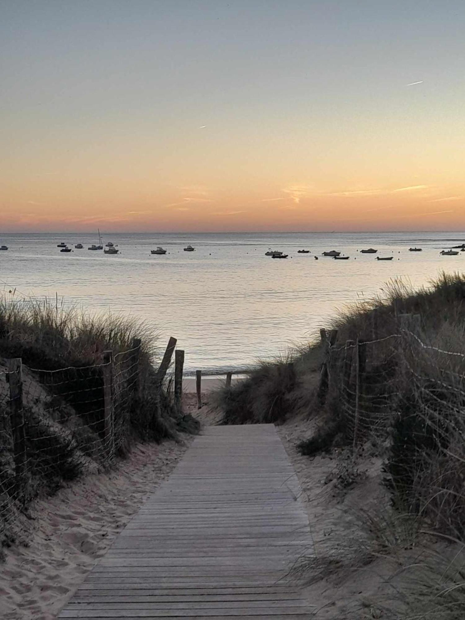 Appartement Aloha Ohana 4-6 Personnes A 400M De La Plage A Dolus D'Oleron Exteriör bild